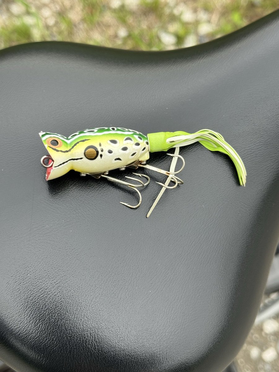 ジェームス子野田(セクシーとおる) tweet media