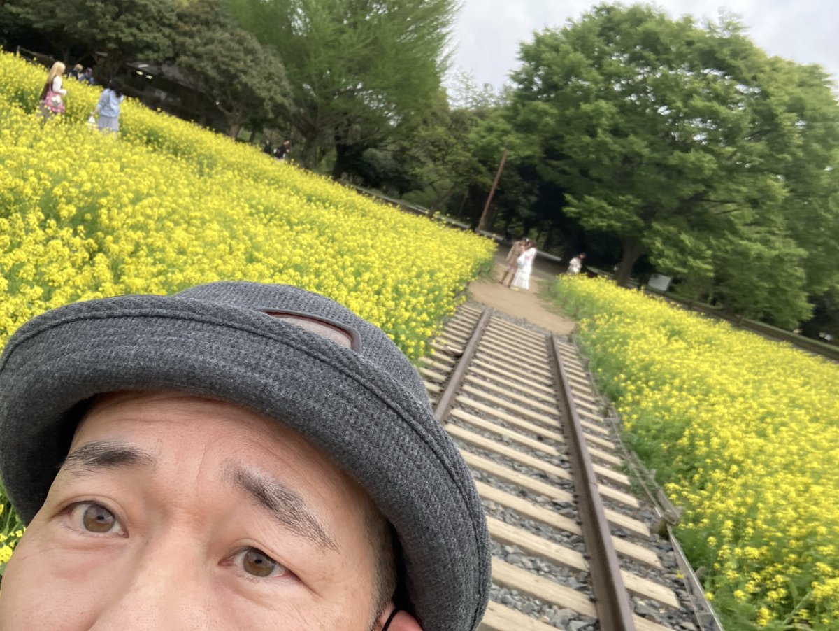 フロチャ（ボドゲバー） tweet media