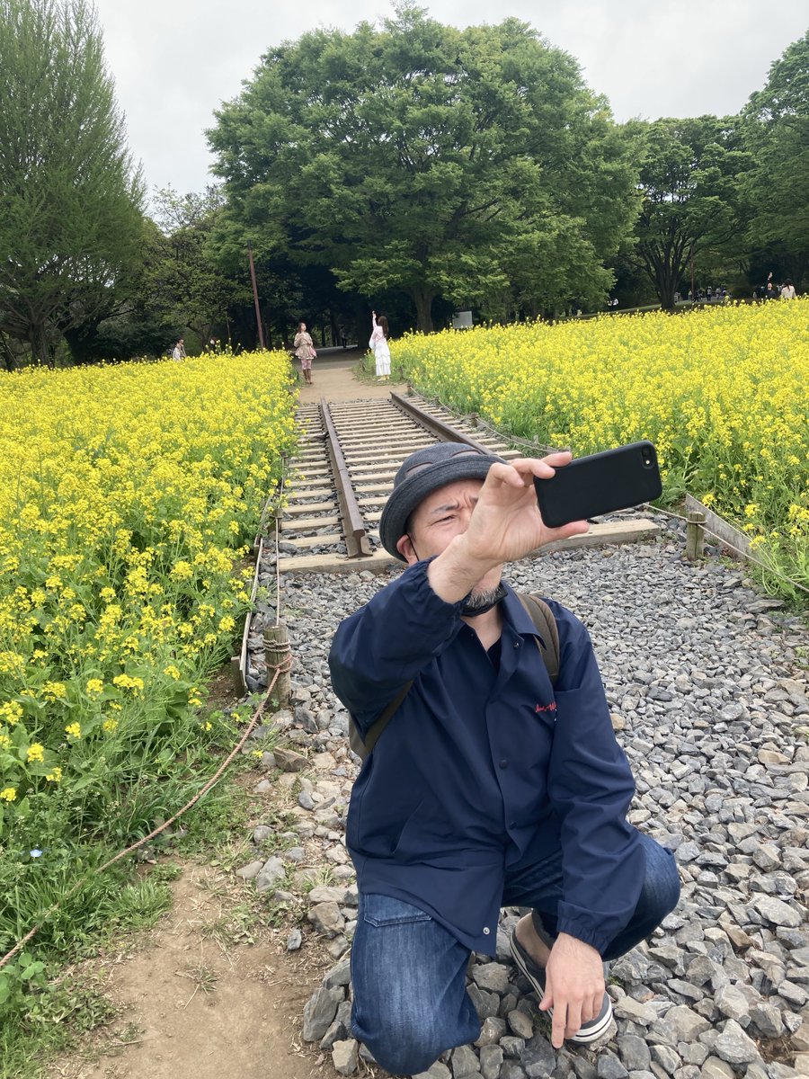 フロチャ（ボドゲバー） tweet media