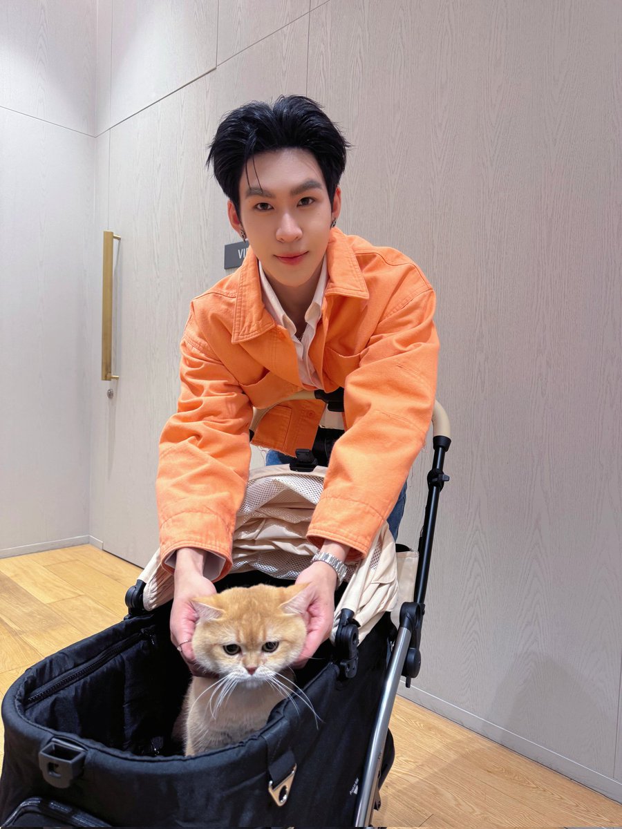 ดูมันดิ DOMUNDI TV tweet media