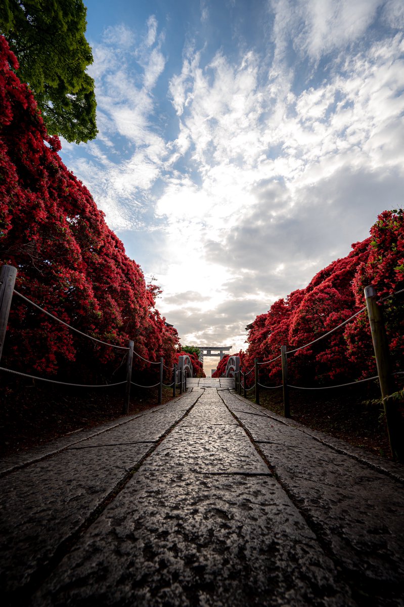 しょーき tweet media