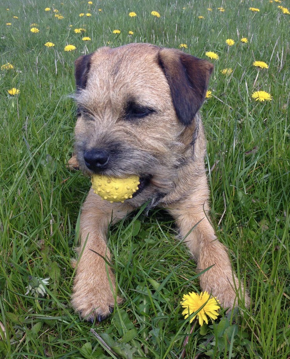 NessaSpratticus's tweet photo. #ThursdayThrowback to this day 2013 … a #Jackaday with love #BTPosse https://t.co/aORkUrTJTp