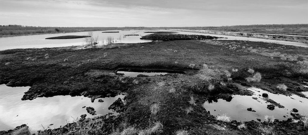 GreenLawAvocats's tweet image. Zones humides : un régime de protection en pleine régression 📉 

Pour en savoir plus sur la décision du @Conseil_Etat 👇

green-law-avocat.fr/zones-humides-…

#droit #law #justice #jurisprudence #avocat #juriste #environnement #eau #iota