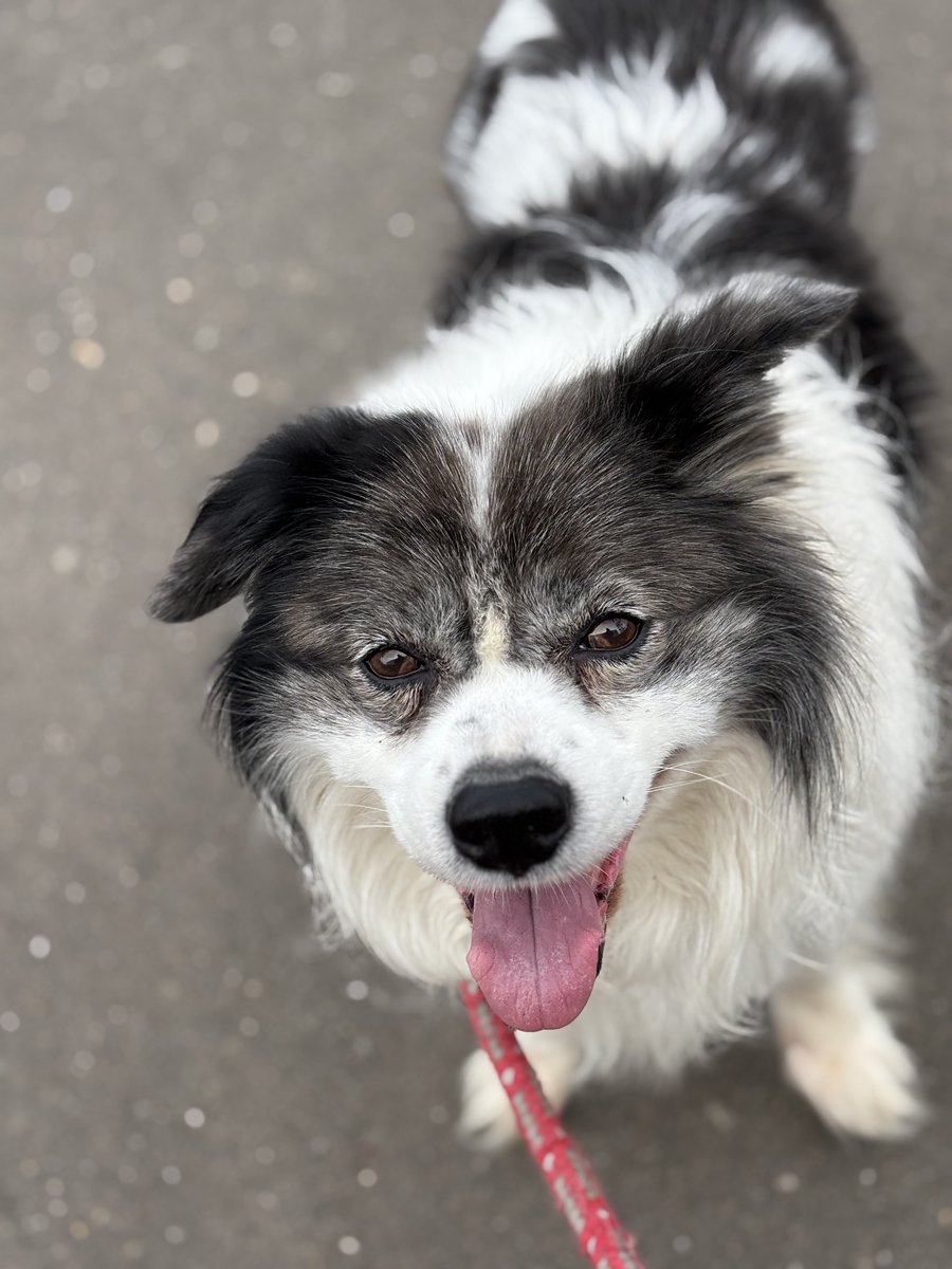 コイデ ヨシロウ tweet media