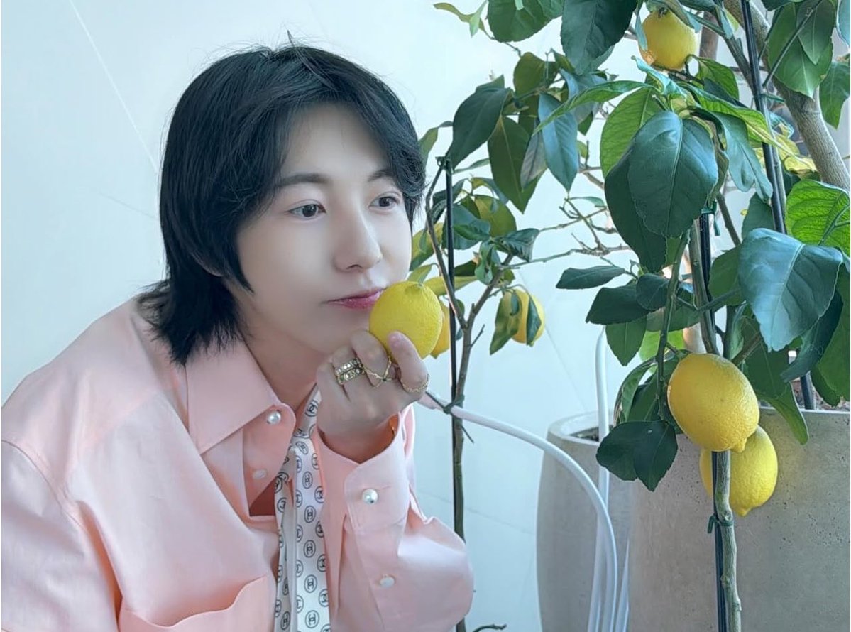 RENJUN BASE! tweet media