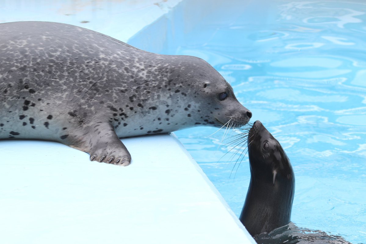 #東武動物公園 
#はなまる
#ニコリ

か、かわいいいい、、、、、、、〜〜ッッ！！！！！！！！！！