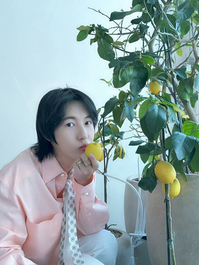 arika ♡ tweet media