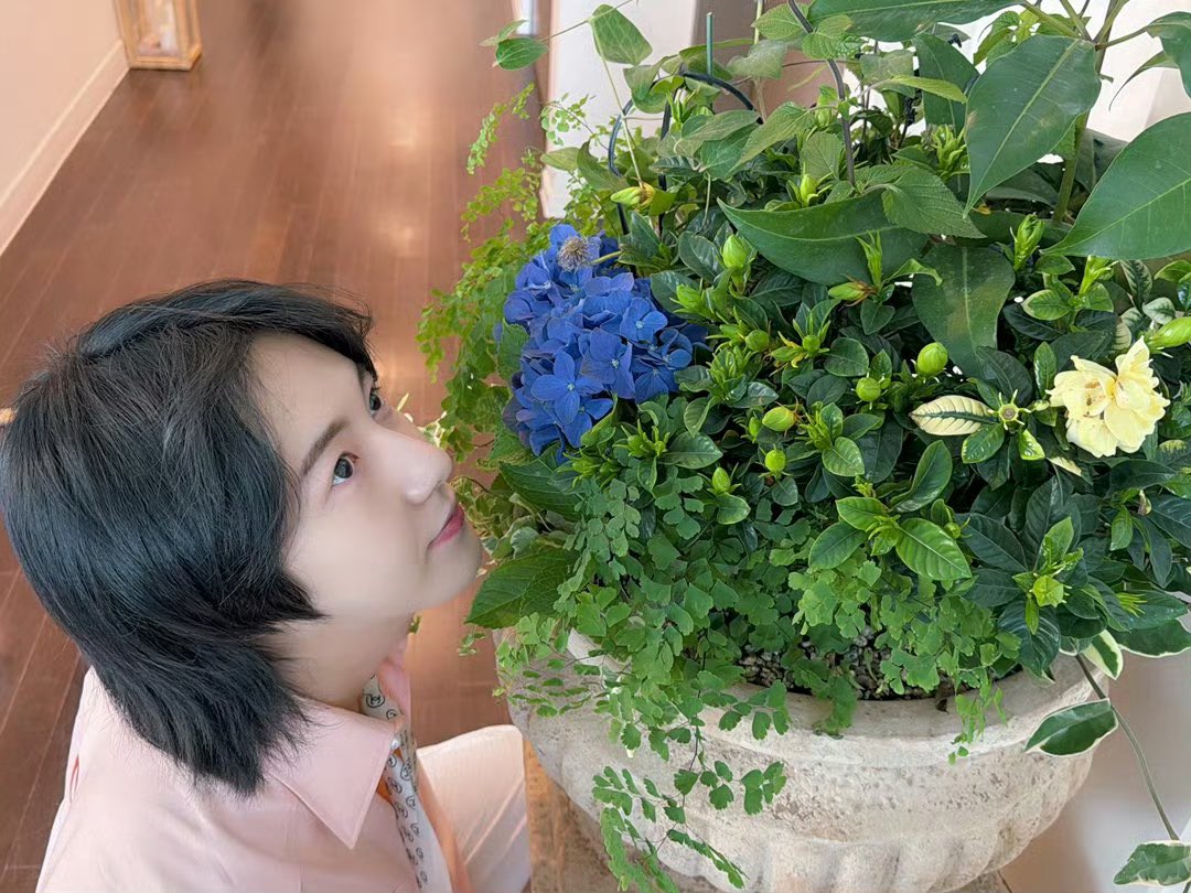 arika ♡ tweet media