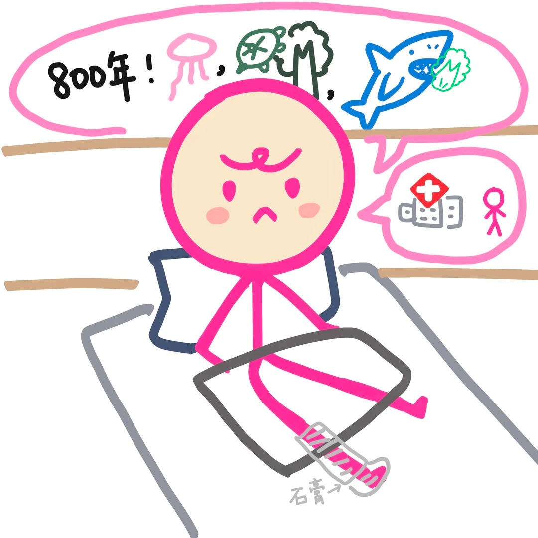 ヤヤ🍰雑多垢 tweet media