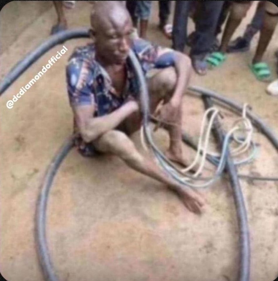 NSNV🕷 tweet media