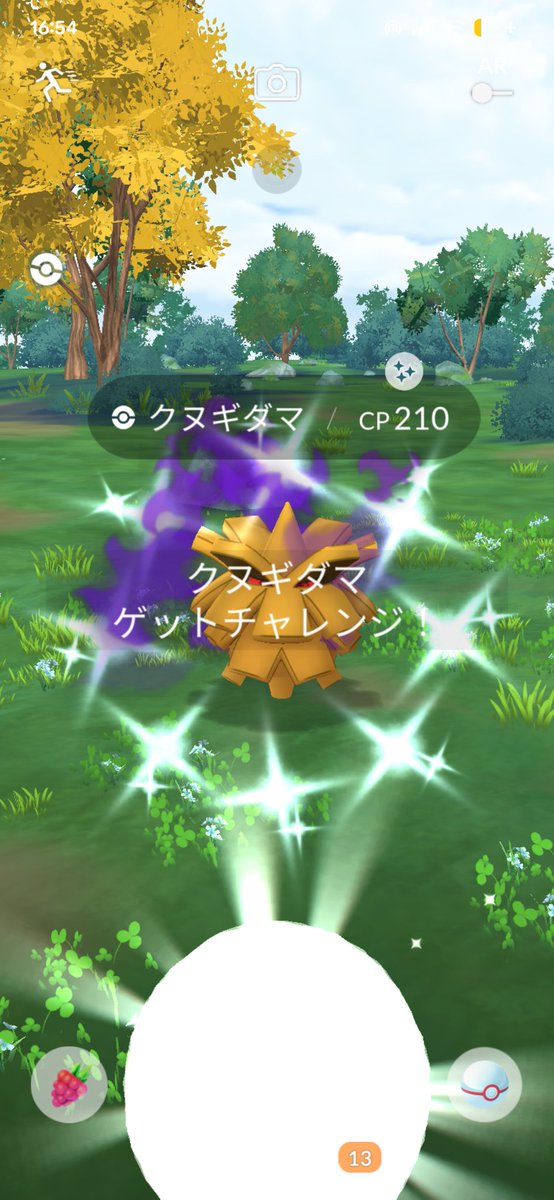 Murayan0125's tweet photo. ロケット団リーダーアルロからイベント初見でシャドウクヌギダマ色違い✨✨ https://t.co/4q3KNZvoE6
