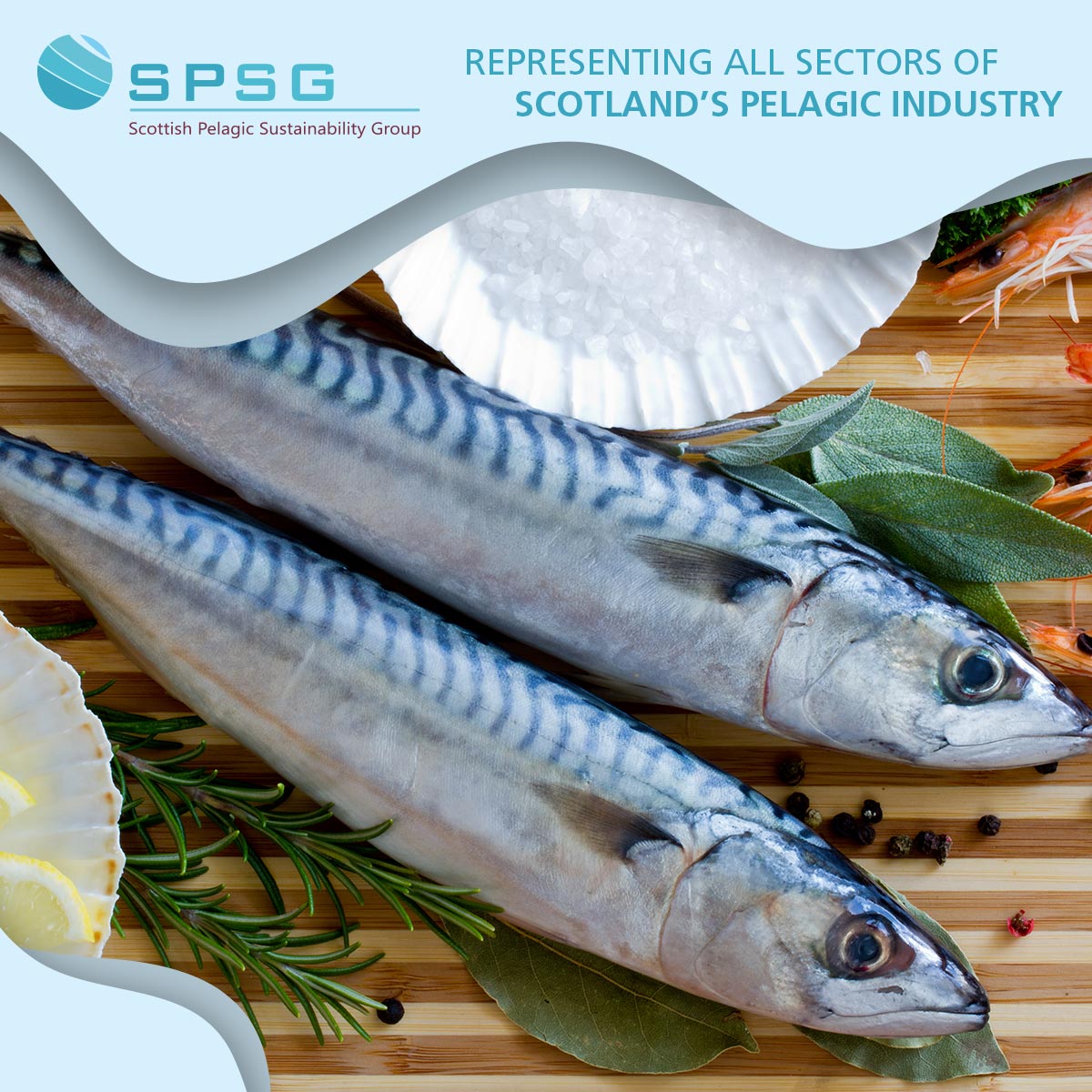 ScottishPelagic's tweet image. Fresh mackerel fillets cook brilliantly in an air fryer - for example, sprinkle with cajun spices, then cook for just eight minutes to create a super-tasty meal

spsg.co.uk

#HealthyEating #HeartHealthy #Omega3Rich #EatMoreFish #My2aWeek