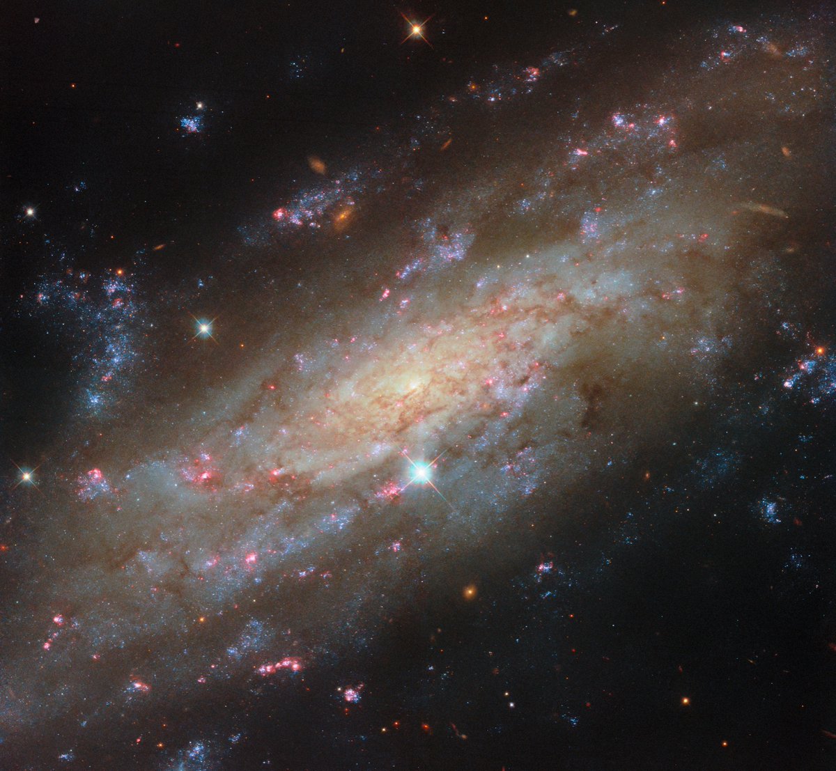 HUBBLE tweet media