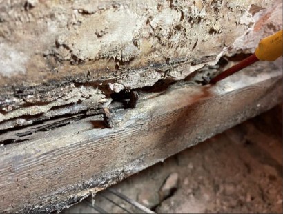 Timberwise tweet media