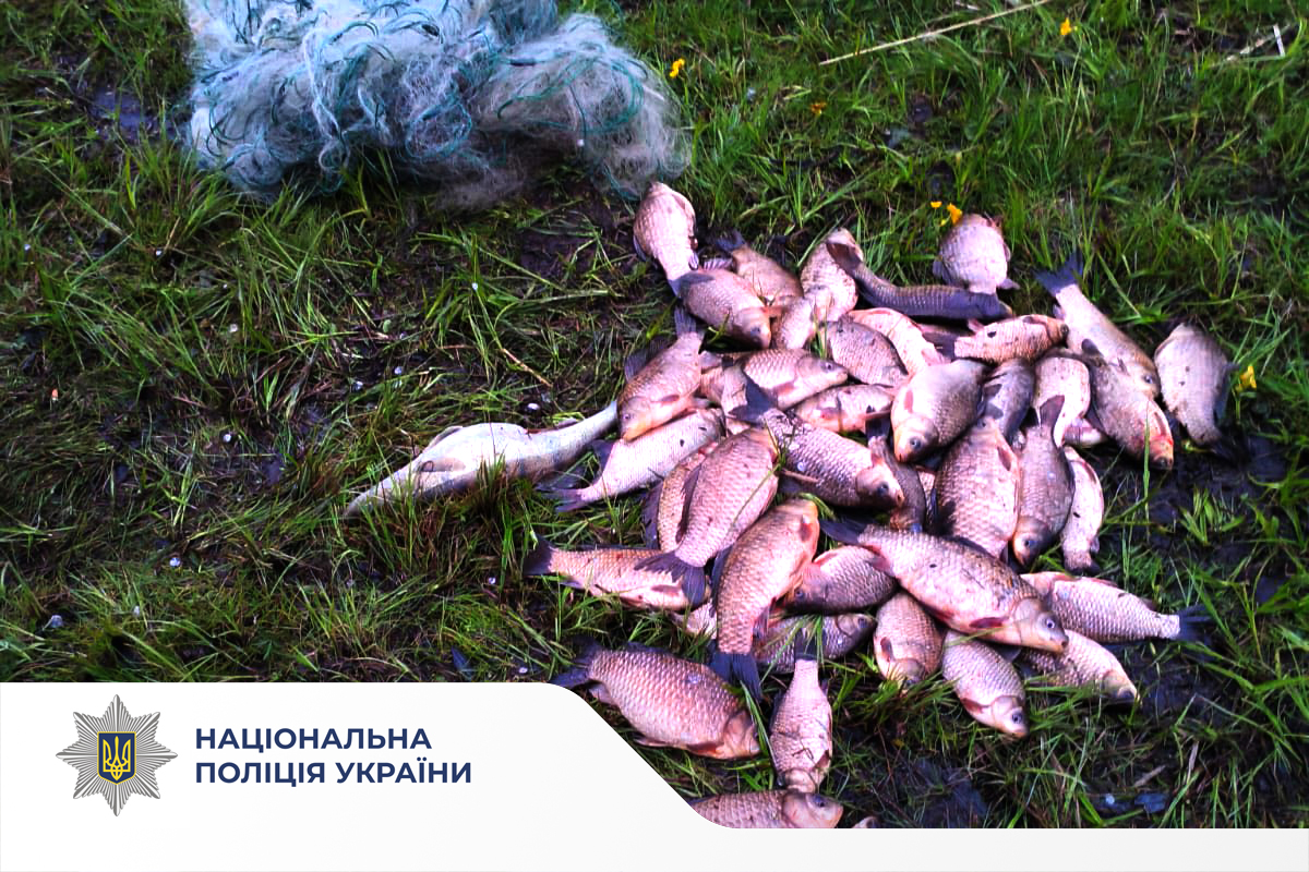 На Вінниччині поліція розслідує 2 кримінальні провадження за фактами незаконного вилову риби

Подробиці: vn.npu.gov.ua/news/na-vinnyc…