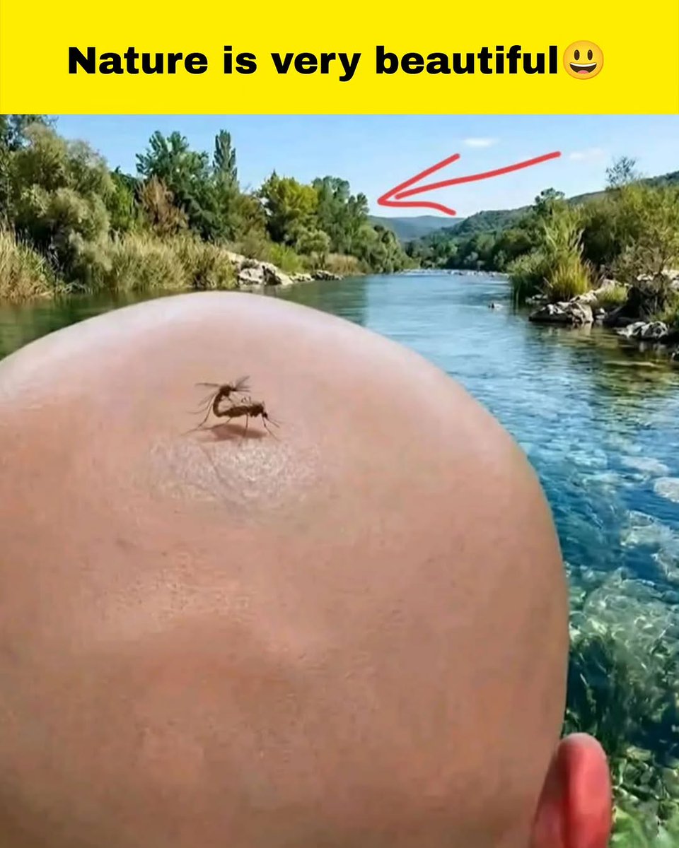 Surplusx tweet media