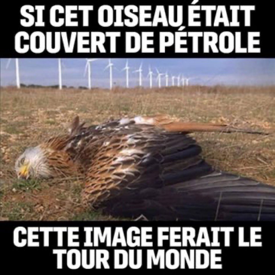 Abbona chris🇫🇷⚜️✝️ tweet media