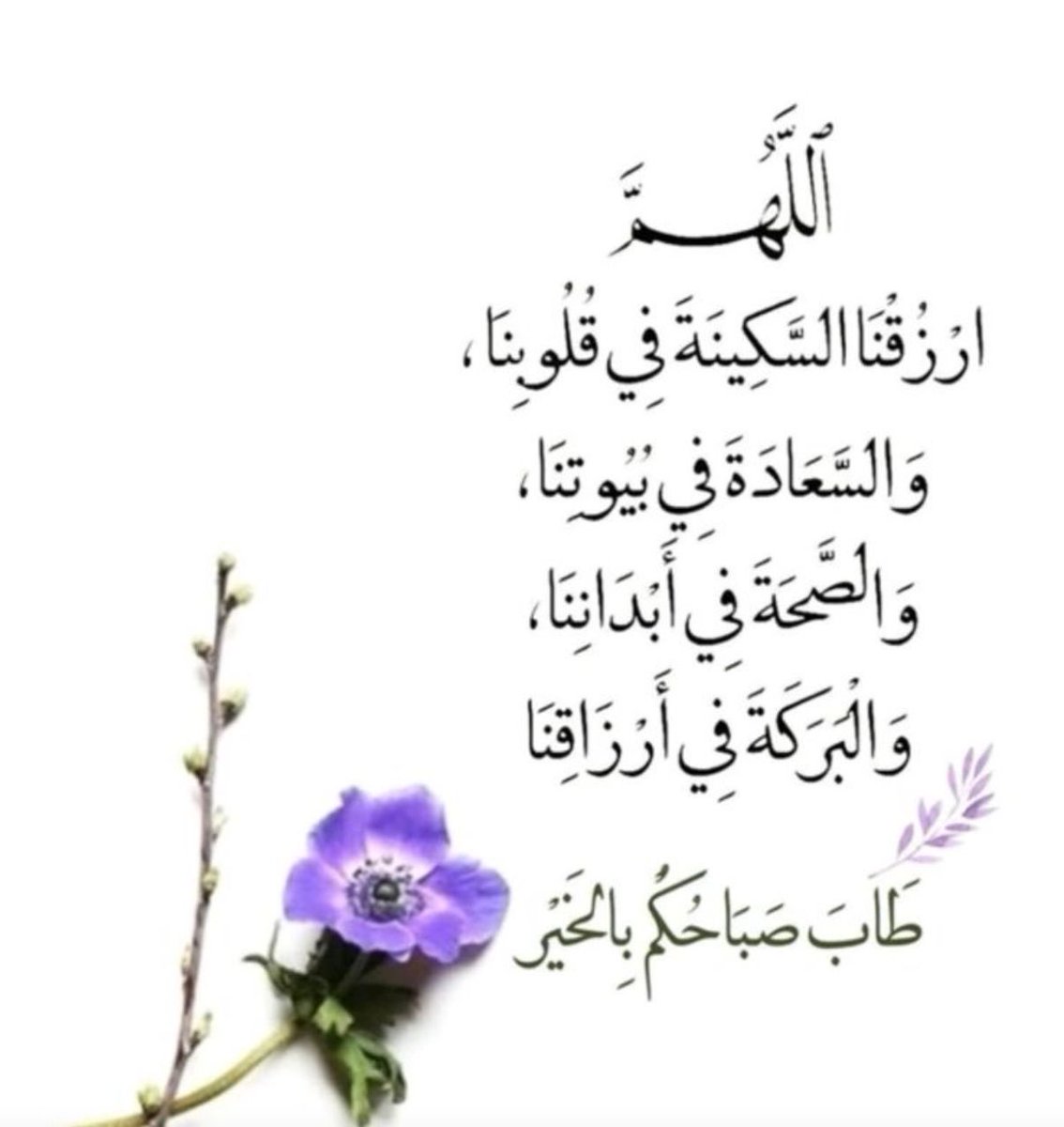 ,ًعبدالله🇸🇦 tweet media