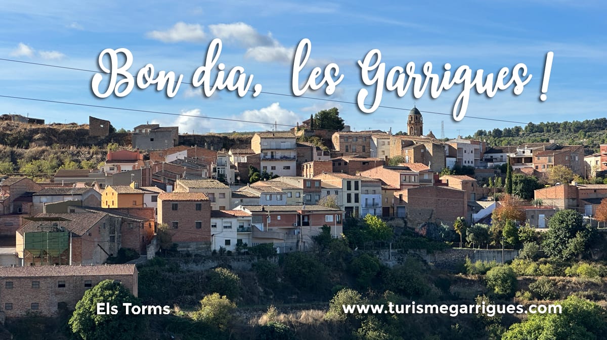 Consell Comarcal de les Garrigues tweet media