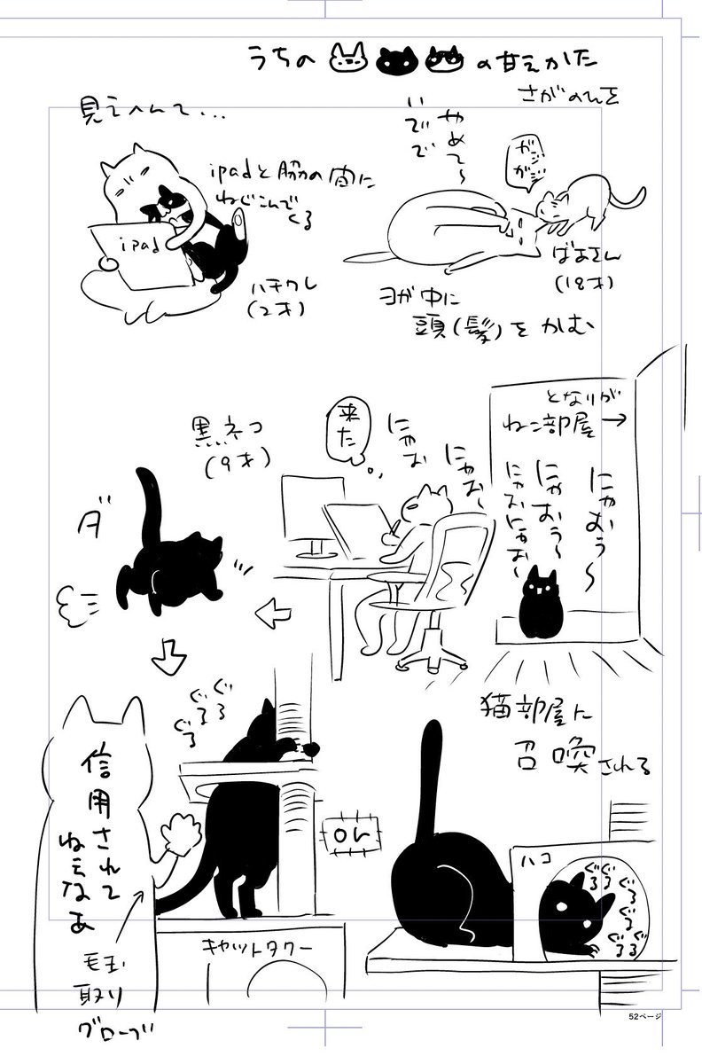 唐突にうちの猫の甘え方紹介 