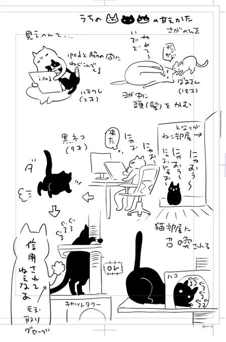 唐突にうちの猫の甘え方紹介 