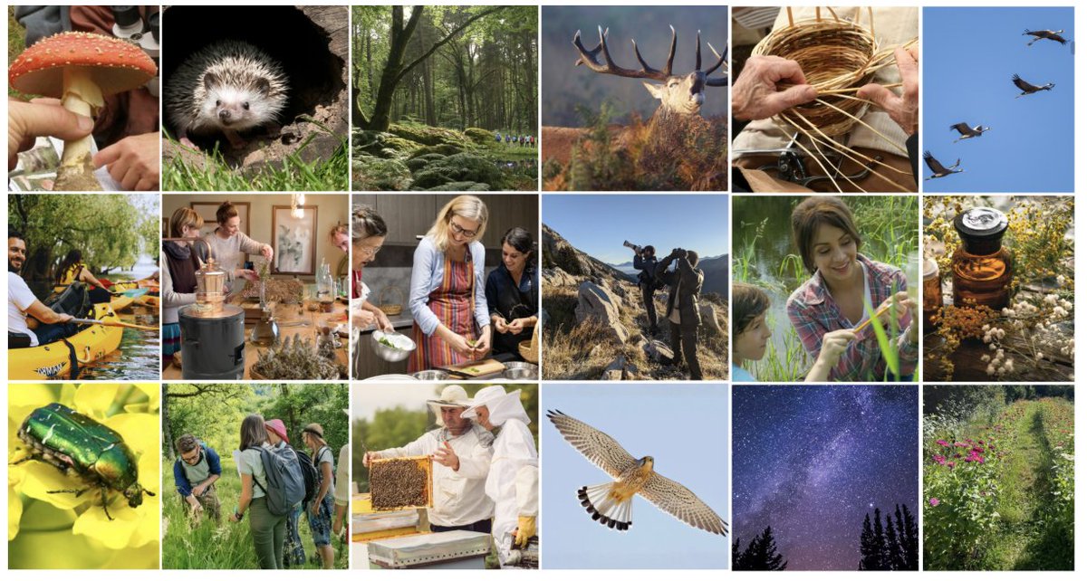 EUROTRIBUNE_FR's tweet image. France - Econtaure : + 400 activités  pour redécouvrir comprendre et agir pour le vivant #france ift.tt/KhZBzAt