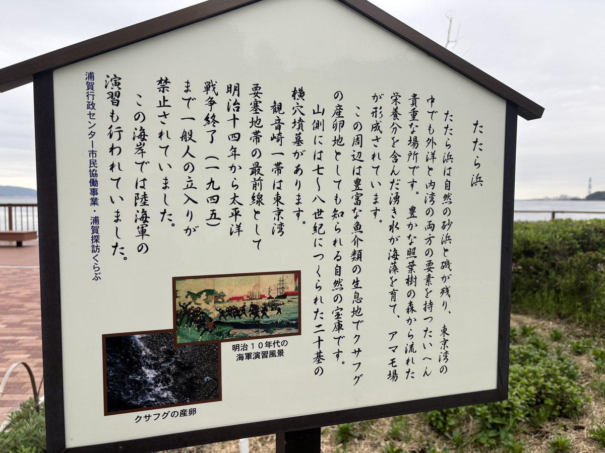 ゆうげ🍺次回インテ大阪 tweet media