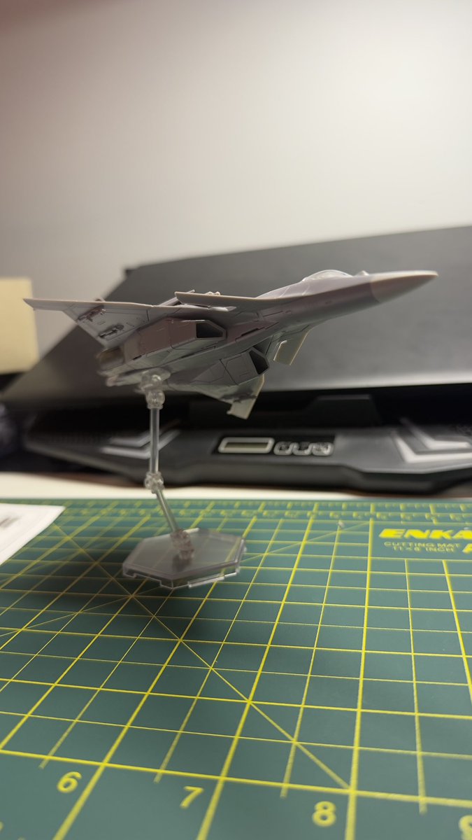 Axoma the Oni cat tweet media