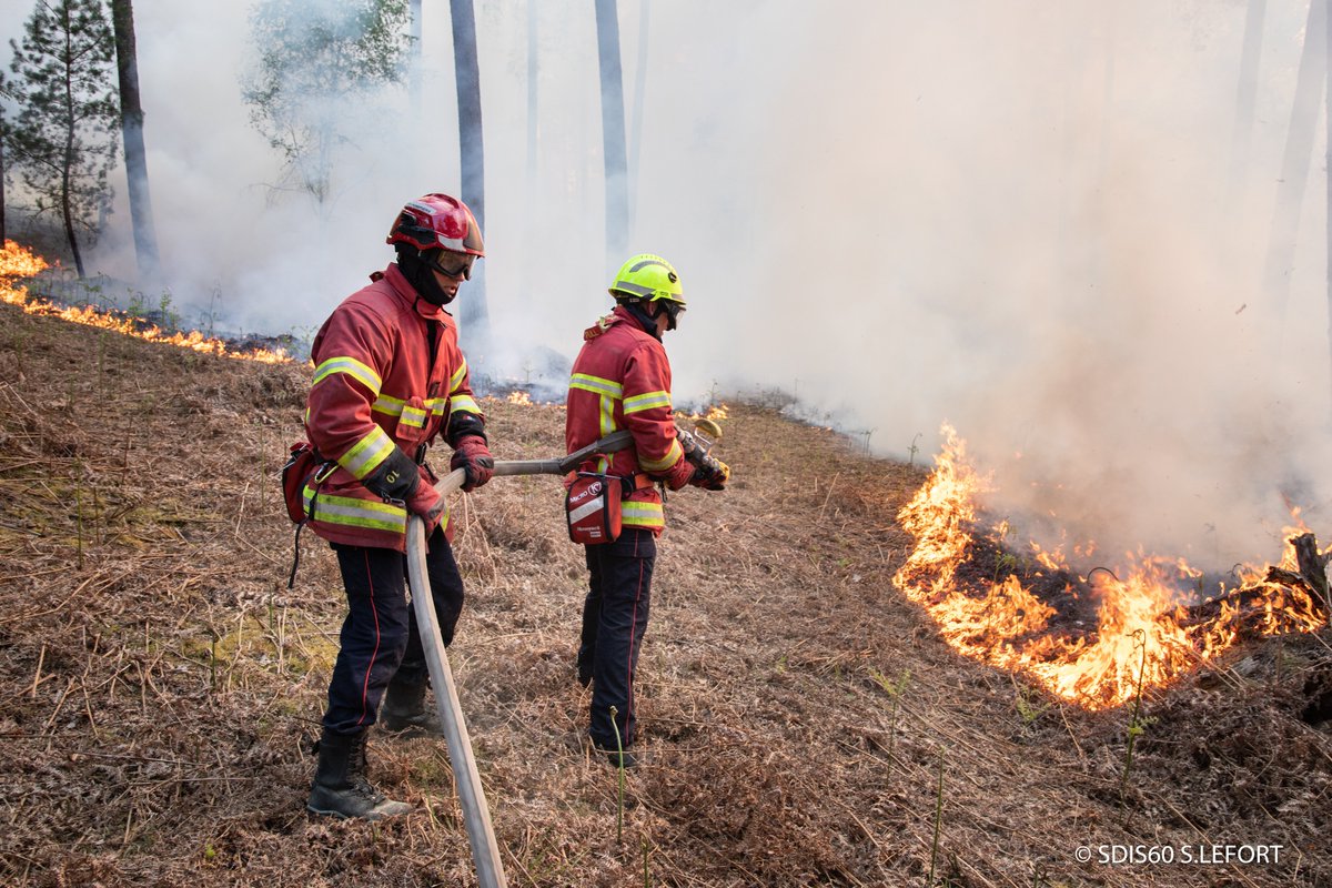SDIS60's tweet image. #Intervention | Feu en forêt de Fontaine-Chaalis

2 groupes d’inter. feux de forêts ont été engagés ce mercredi après la réception de nombreux appels au 18/112. L’action des SP a permis de contenir le feu qui a parcouru 6 hectares.  Au plus fort, 80 #Pompiers60 étaient mobilisés.