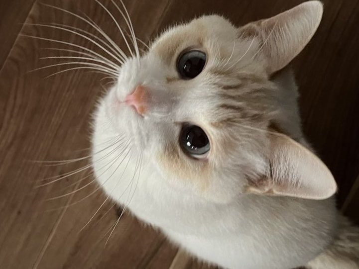 ˙ᵕ˙ tweet media