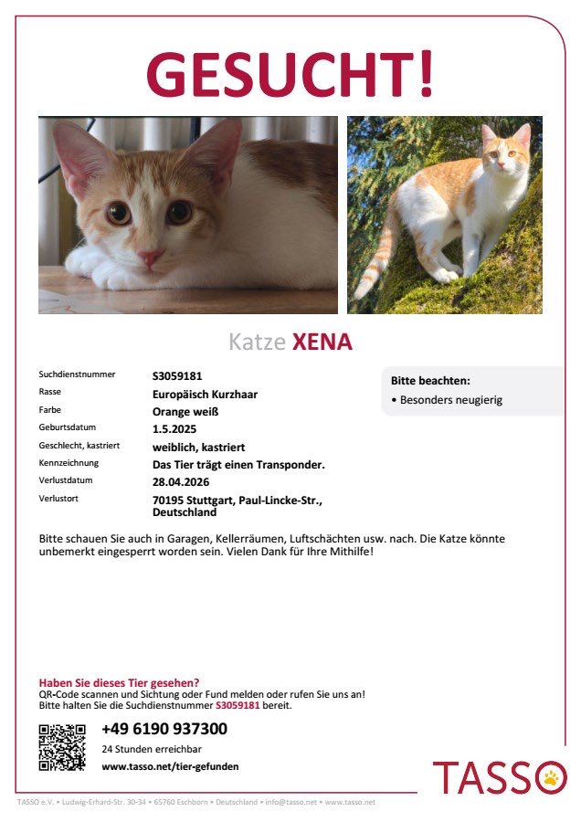 gruenspecht's tweet image. #Katze #Stuttgart