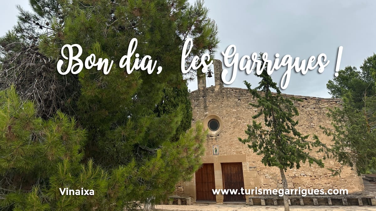 Consell Comarcal de les Garrigues tweet media