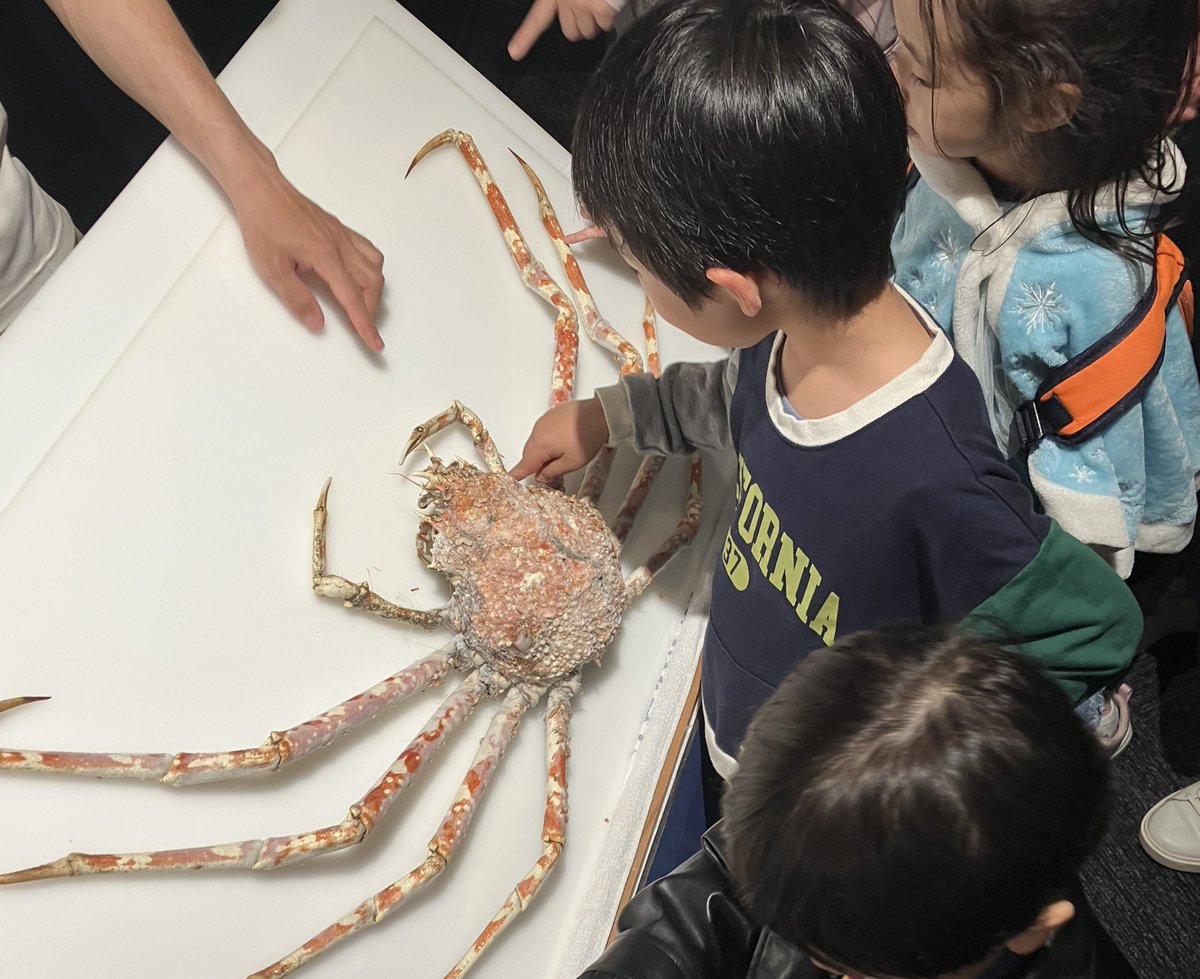 しものせき水族館「海響館」公式 tweet media