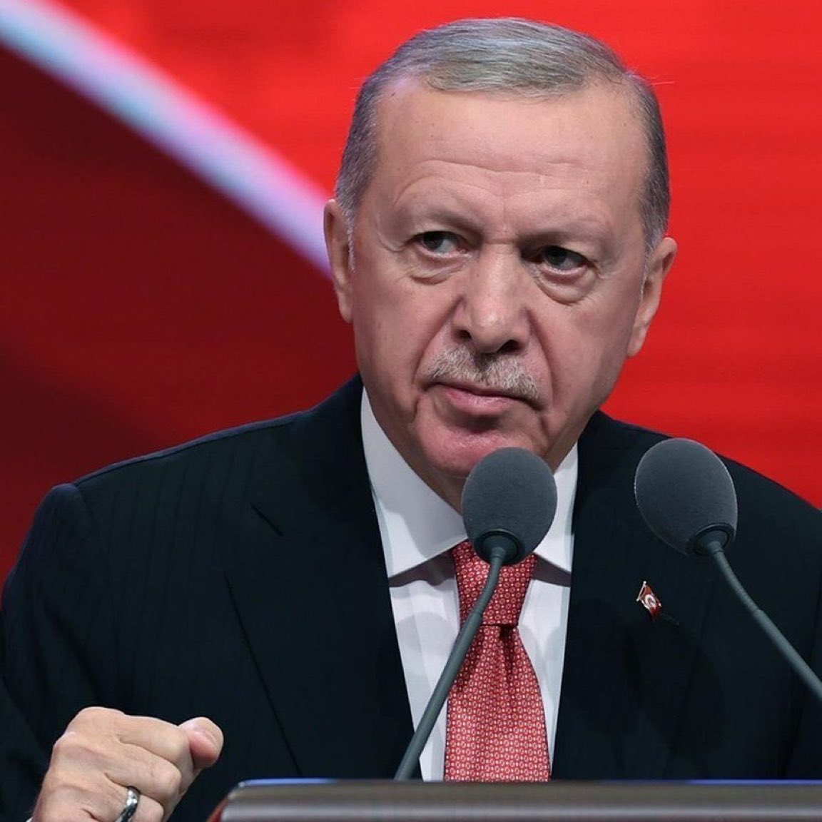 Gökçe Katun tweet media