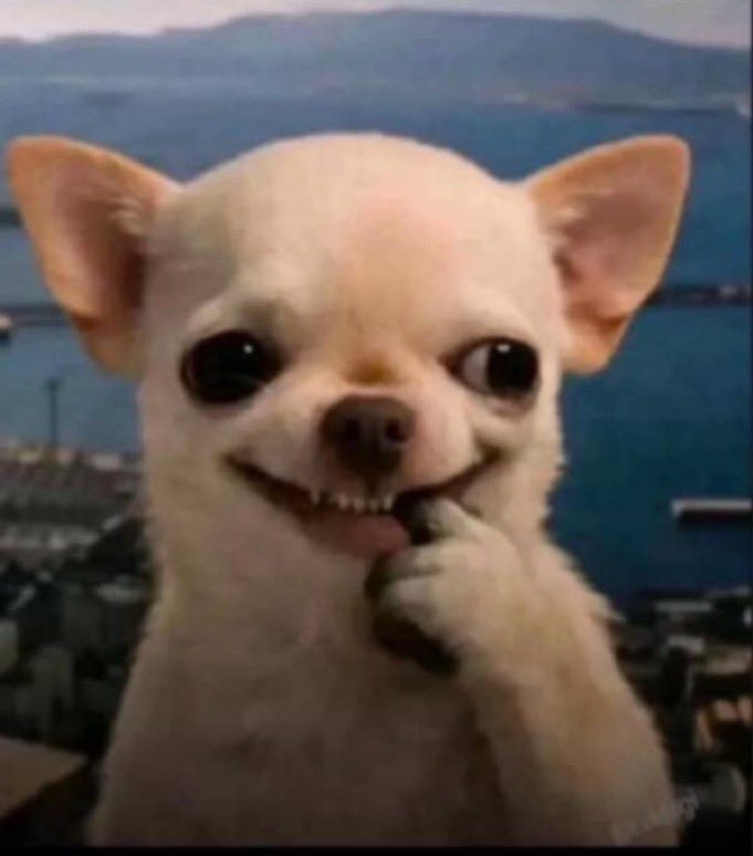 Confidence🇳🇬 tweet media