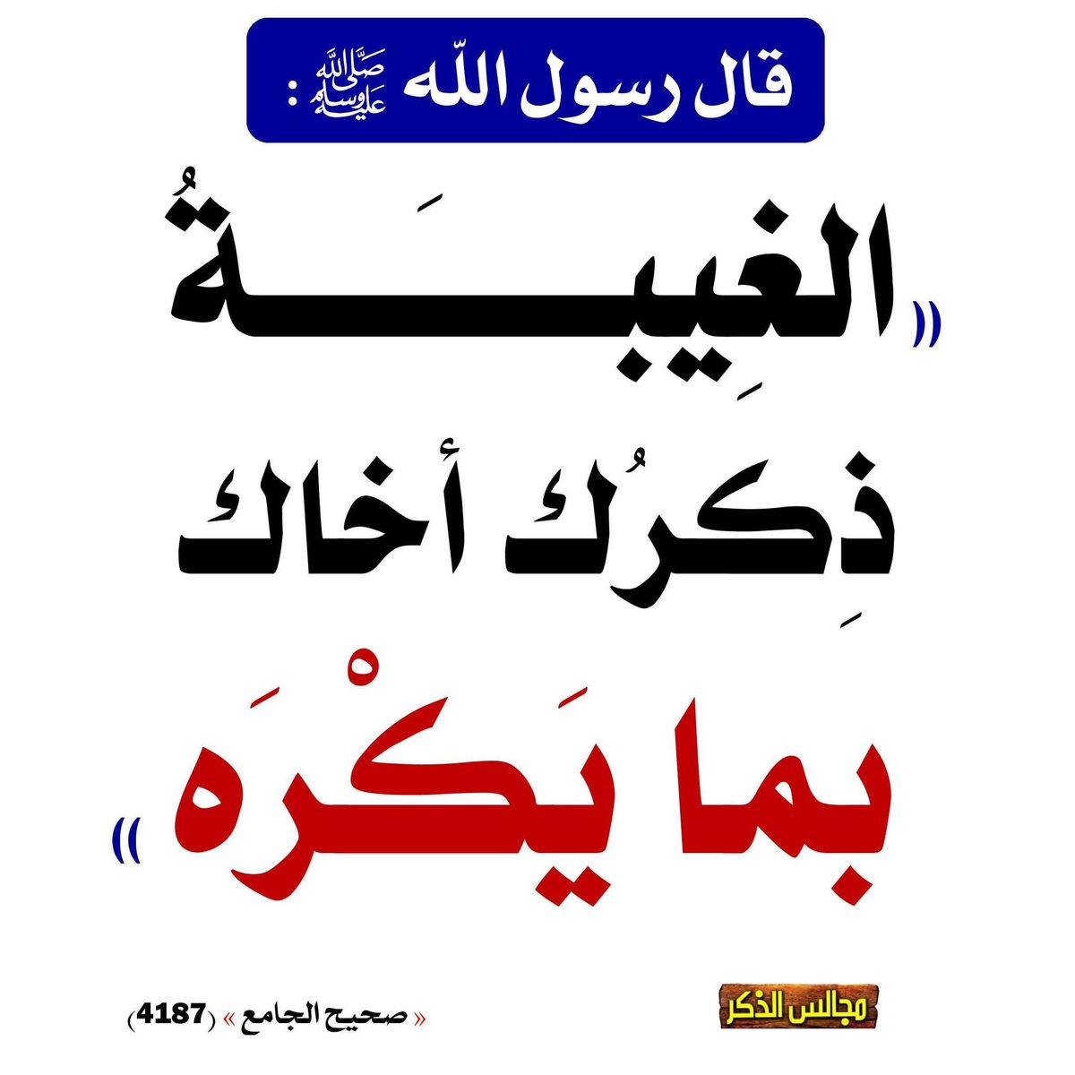 الكتابُ والسُّنة tweet media