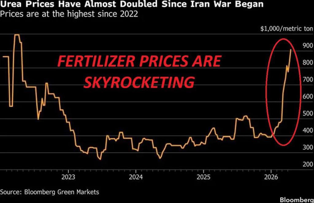 elinversor_in's tweet photo. 🚨ATENCIÓN🚨

BLOOMBERG ADVIERTE: LA INFLACIÓN ALIMENTARIA QUE VIENE VA A FORZAR A LOS BANCOS CENTRALES A ENDURECER POLÍTICA MONETARIA.

👀Pero si escuchamos a la ONU, lo que más preocuparía sería una CRISIS ALIMENTARIA GLOBAL (advierten sobre 45M de personas sufriendo hambruna).

¿Cuáles son los números de esta semana que preocupan?

🔻 La producción de urea (el fertilizante más usado del mundo) del Golfo cayó a 160.000 toneladas semanales. El nivel más bajo del año.
🔻Se estima que el uso de urea y otros nitrogenados puede aumentar el rendimiento de los cultivos entre un 50% y 100%
🔻Representa aproximadamente el 50-55% de todo el consumo mundial de fertilizantes nitrogenados.
🔻 Desde el inicio de la guerra, la producción regional cayó 60%.
🔻 Solo 11 barcos con fertilizantes transitaron el Estrecho de Ormuz desde que comenzó el conflicto.
🔻 44 buques cargados de fertilizantes siguen atrapados dentro del Golfo. Casi la mitad cargados de urea.
🔻 Los productores se están quedando sin espacio de almacenamiento. Riesgo real de cierre total de plantas.

¿Por qué importa?

▪️Medio Oriente representa el 45% del comercio global de urea. Los principales importadores son India, Europa y Brasil, los tres grandes productores de alimentos del mundo.
▪️Sin urea → menos rendimiento por hectárea → menos cosecha de maíz, trigo y arroz → precios de alimentos suben globalmente.
▪️Inflación alimentaria alta → los bancos centrales no pueden justificar bajas de tasas → tienen que mantenerlas altas o subirlas.

¿Cuántas semanas le quedan al mercado antes de que la inflación alimentaria aparezca en los datos y obligue a los bancos centrales a actuar⁉️
