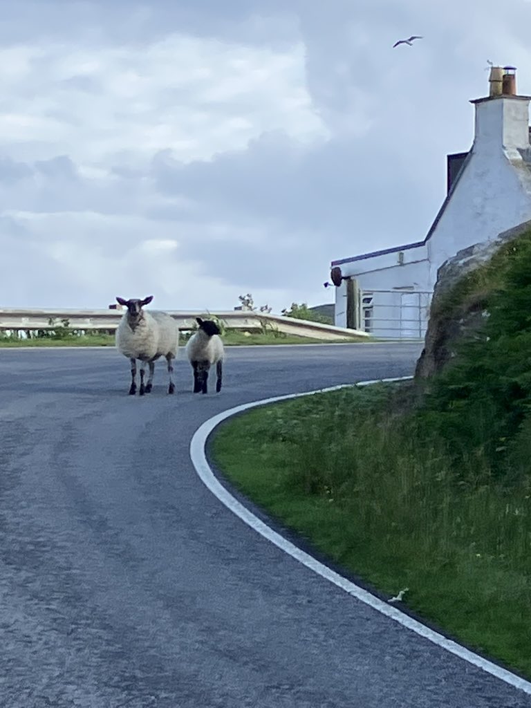 Lovethisland_'s tweet image. Barra. Good morning.

“Where the streets have no name…”

#hebrides #outerhebrides #Scotland