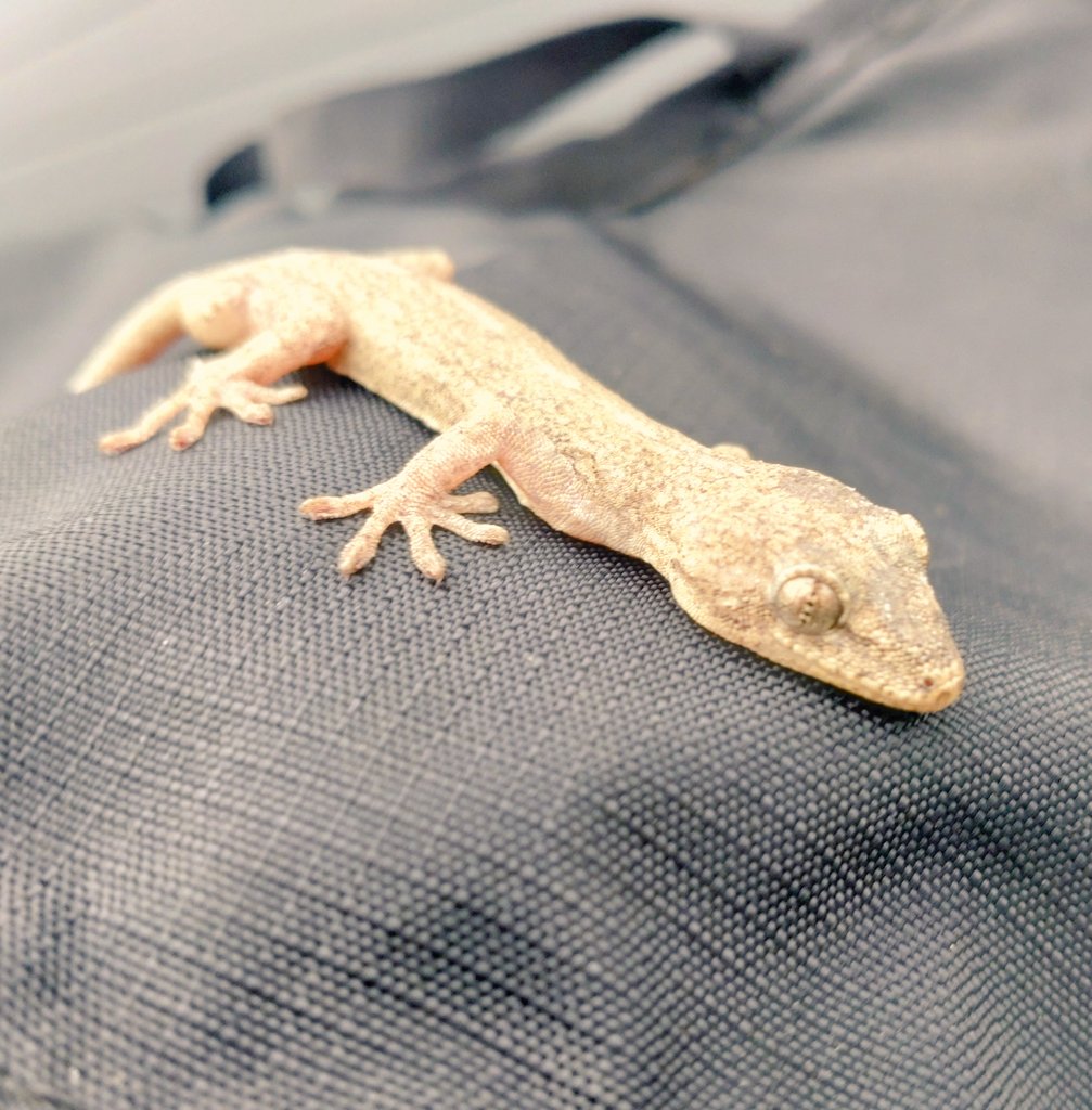 櫻井渉 tweet media