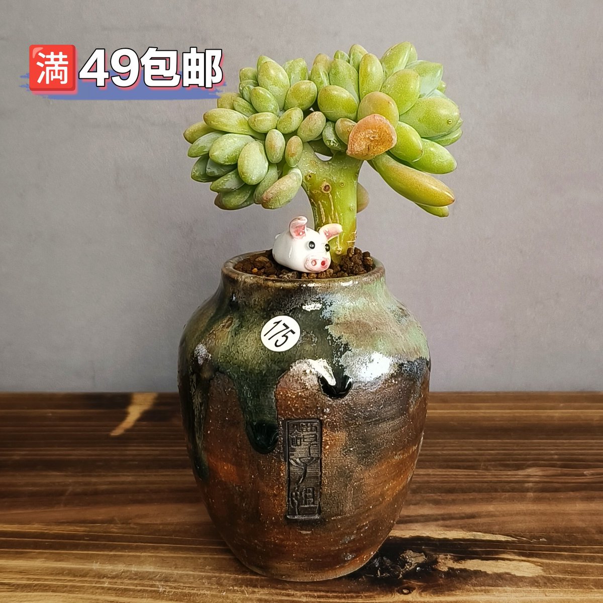 Dakota Morrison tweet media