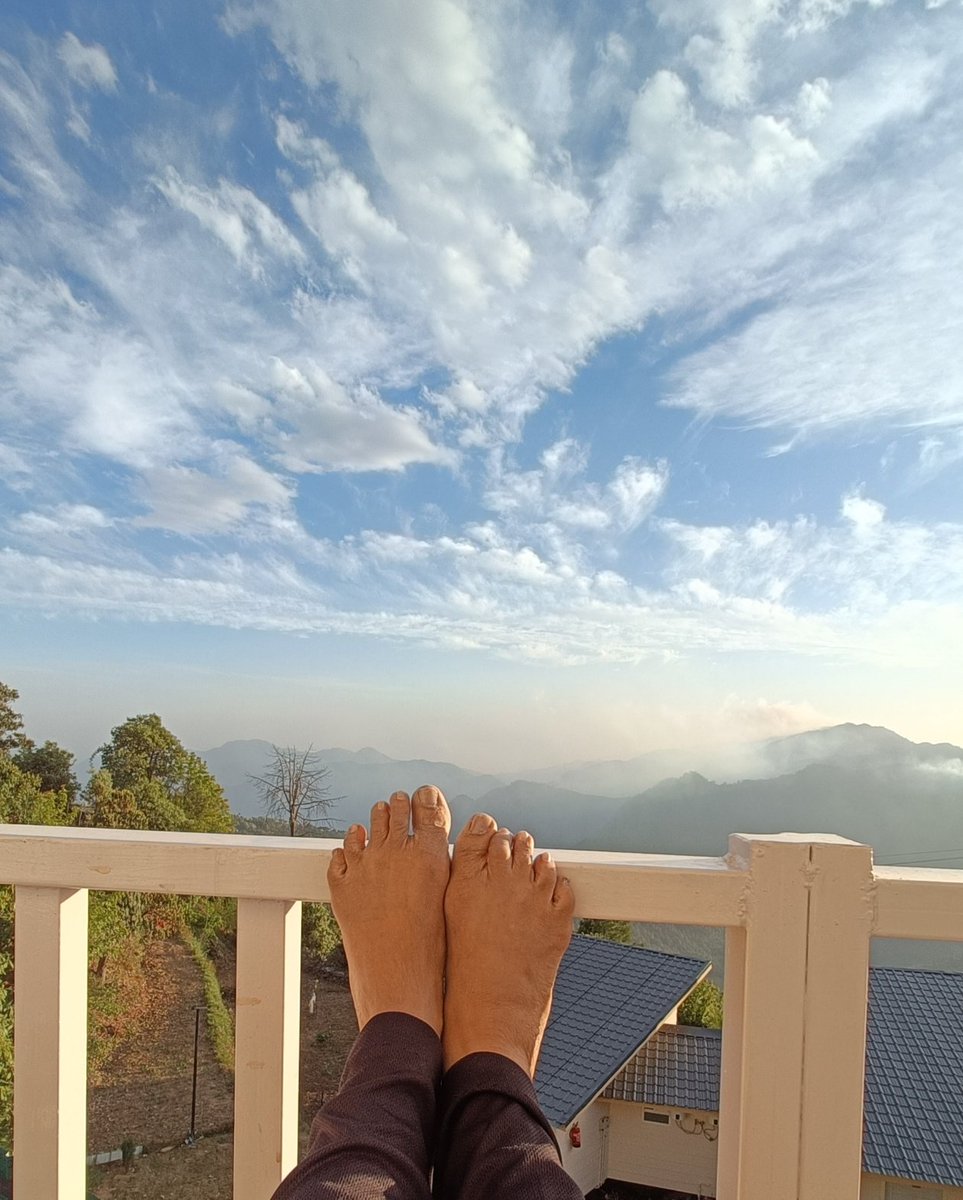 Bingo_mk's tweet image. Today's #DailyPictureTheme is 'At home ..." 

#DailyPictureTheme  #At home ...even while on vacation !
