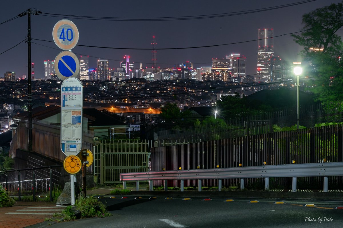 ひで猫 tweet media