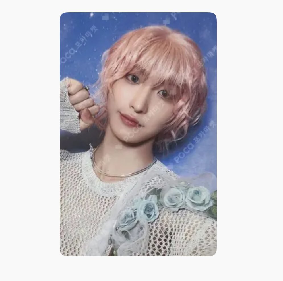 다람양 tweet media