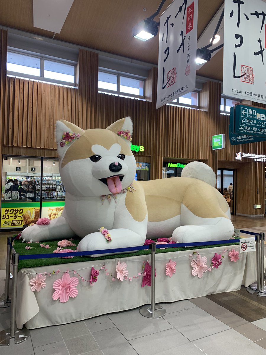 stockoji3's tweet photo. 秋田着！ https://t.co/RpBVRtrx7G