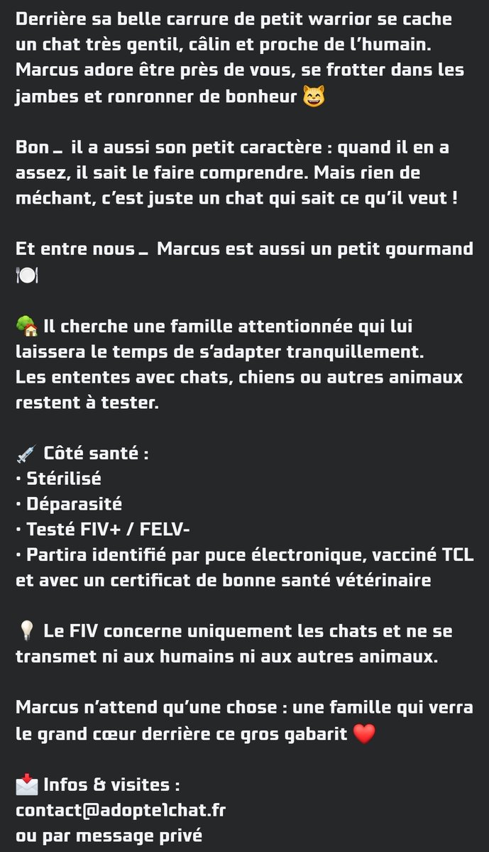 ADOPTE 1 CHAT tweet media