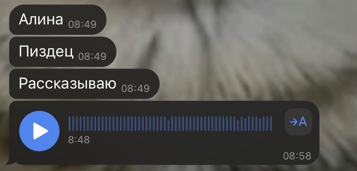 алина tweet media