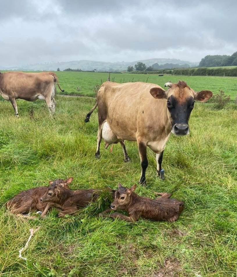FarmingUK tweet media