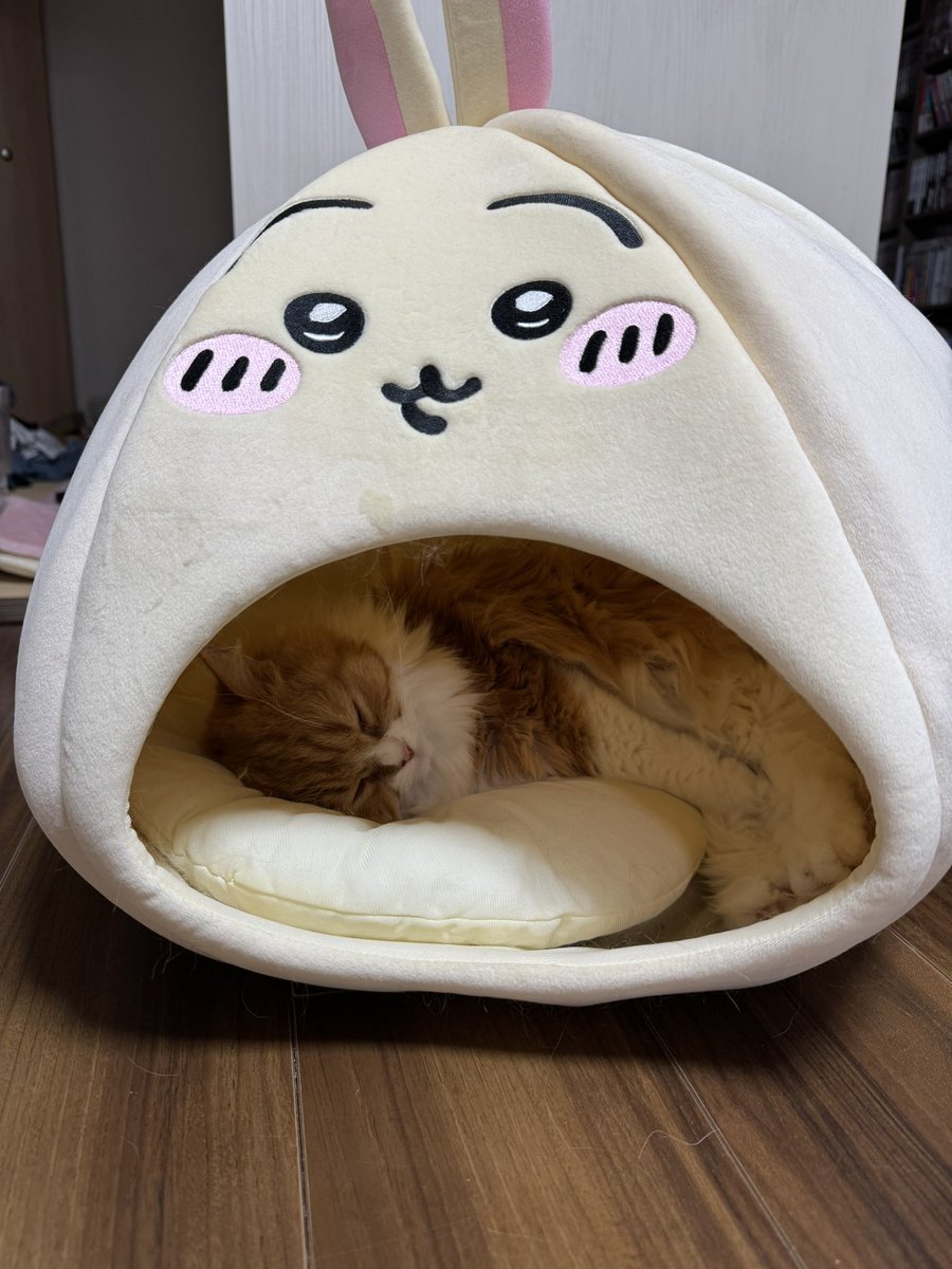 okakatunashake tweet picture