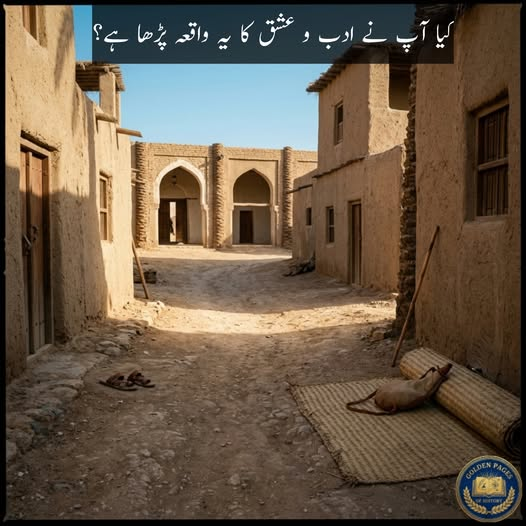 Maria Baloch tweet media