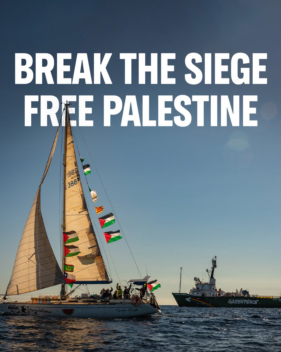 Greenpeace Indonesia tweet media
